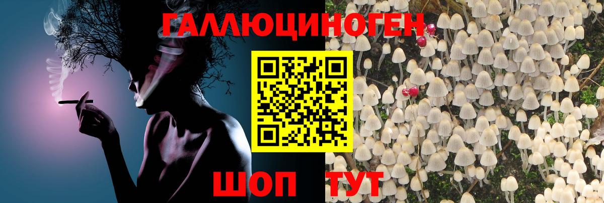 Полевской  Вход с VPN  Cocaine  МЕТАМФЕТАМИН  Гашиш  Канабис  Как найти наркотики?  A-PVP СК кристаллы  Метадон  Меф кристаллы  Экстази 