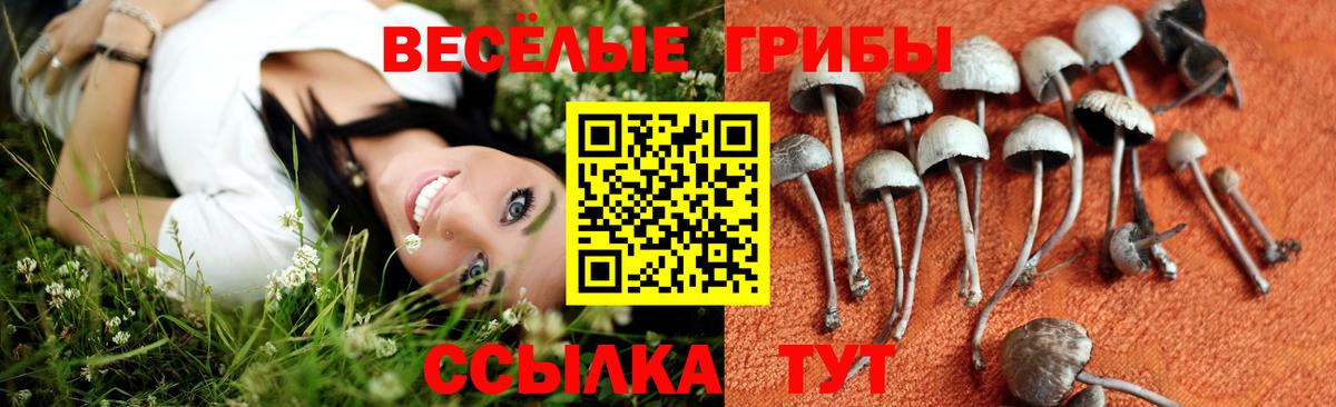 Галлюциногенные грибы мицелий Полевской
