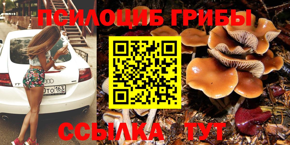 Полевской  Псилоцибиновые грибы GOLDEN TEACHER  Вход с VPN 